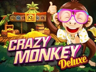 Crazy Monkey Deluxe game screenshot